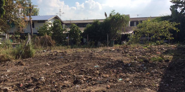 ทำไม คนๆหนึ่งถึงทำงานหนักและมีผลลัพธ์