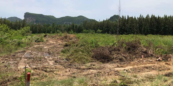 วันอาทิตย์นัด 8 โมงมาเช้ามาก